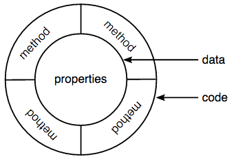object anatomy